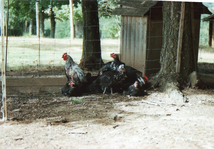 Vacances Lozère-Aveyron-Aubrac  Img249