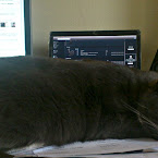 Alexis relaxing on my bills and listening to jazz, while yours truly editing photos of Alexis. DSC_2378.JPG