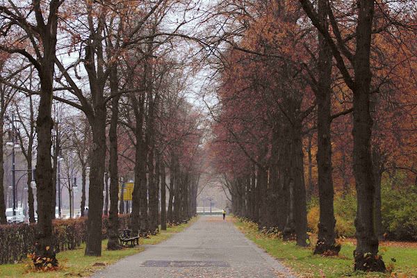 Corsa d'autunno di scerda