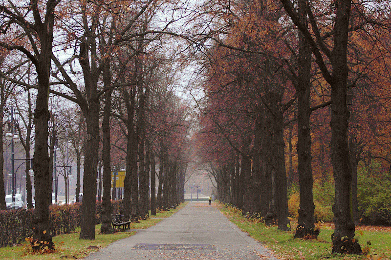 Corsa d'autunno di scerda