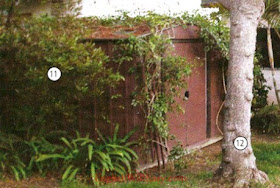 11. bush 12. tree Yard Garden - Place to live - Housing - Photo Dictionary