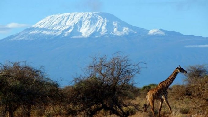 Joto Laongezeka Tanzania, Kilimanjaro Ndio Usipime