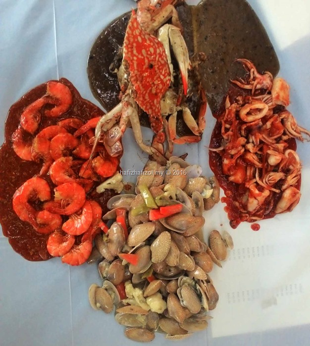 Kuala terengganu shellout Shell Out