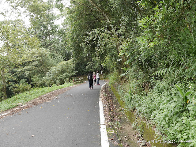 【景點】【食記】苗栗舊山線主題旅程一日遊-茅鄉炭坊.桐花走廊.金榜麵館.鯉魚潭水庫.火炎山森林生態教育館@川流不息, 三義古道自然行! 三義鄉 中式 區域 午餐 博物館 台式 地區導覽指南 小吃 旅行 晚餐 景點 苗栗縣 飲食/食記/吃吃喝喝 麵食類 