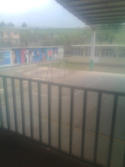 Photos of Hotel D'ONE