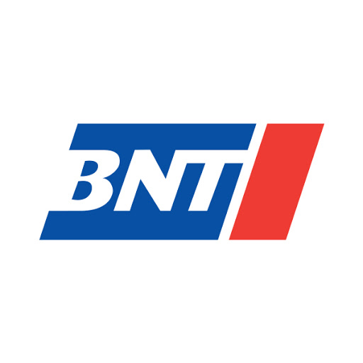 BNT Automotive logo