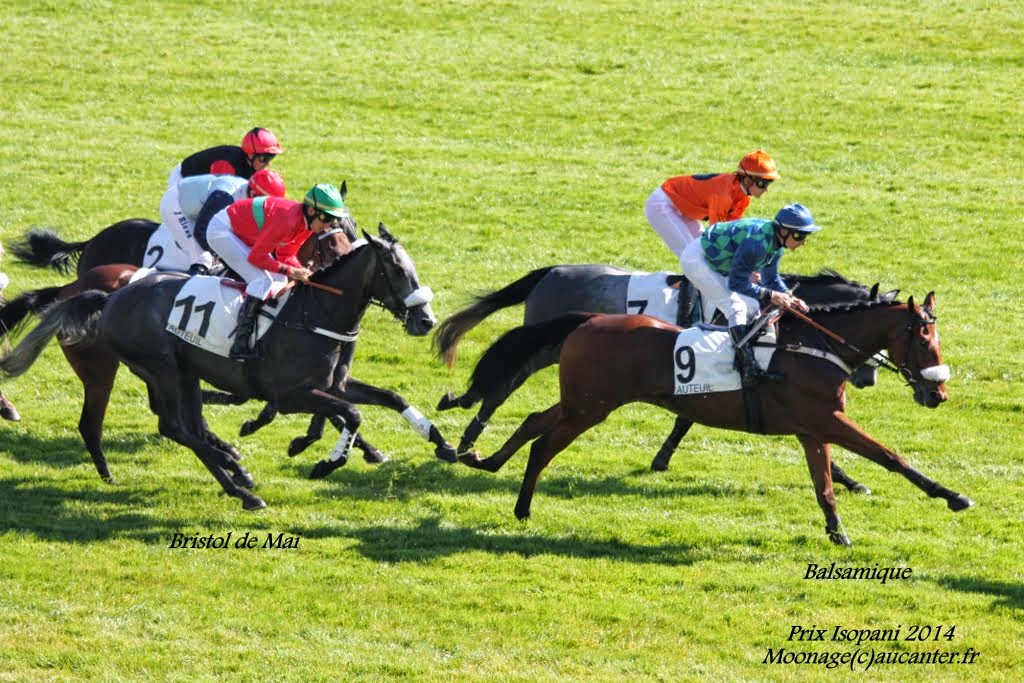 Photos Auteuil le 27-09-2014 IMG_4167