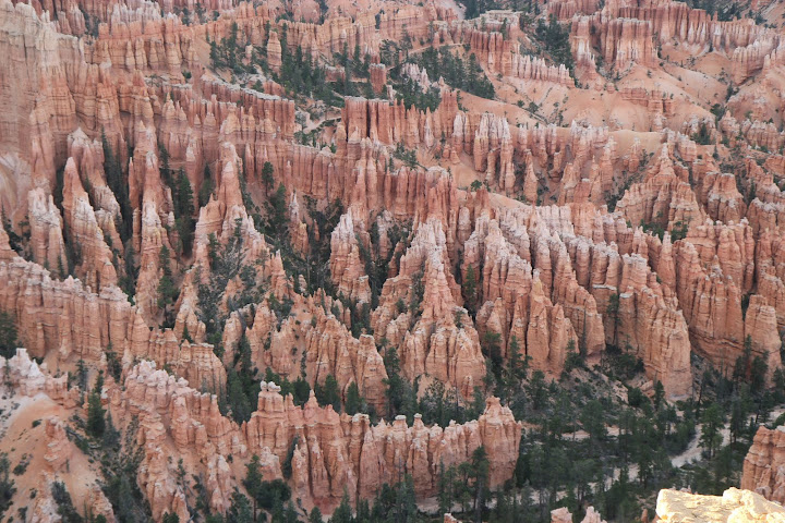 Улиткины в Америке. НЙ-Ч-парки ЮЗ-ЛВ-СФ-ЛА