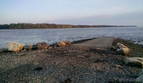 4. 5-17-15 boat ramp at Wharton Point