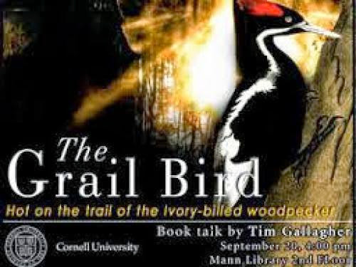The Grail Bird With Tim Gallagher