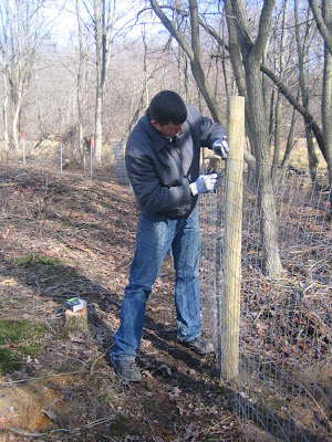 installing a goat fence