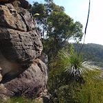 Rocky outcrop below Buniyah Lookout (74301)