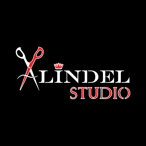 Alindel Studio logo