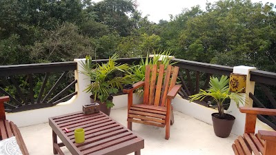 Photos of Mango Tulum Hotel
