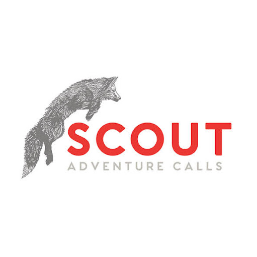 Scout Dallas logo