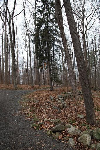 on the carriage road.