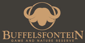 Partner - Buffelsfontein Game & Reserve - Saddle