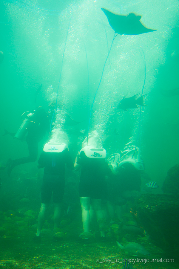 Miami Seaquarium 