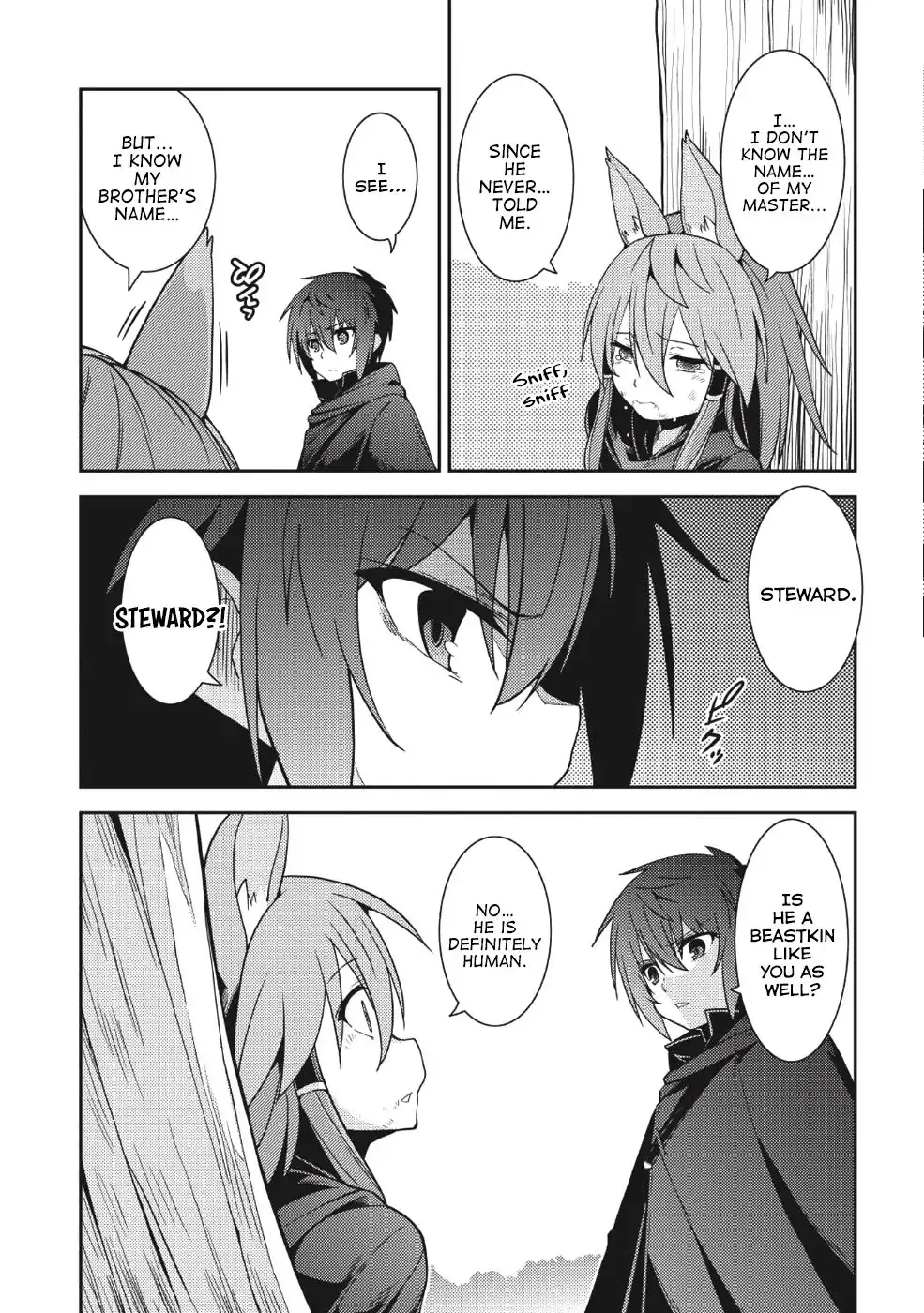 Seirei Gensouki Page 17