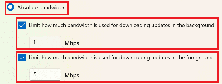 Options de bande passante absolue dans Options avancées d'optimisation de la livraison |  Comment augmenter la vitesse d'Internet sur Windows 11