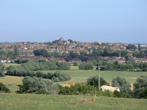 CIMG8341 Distant view of Rye