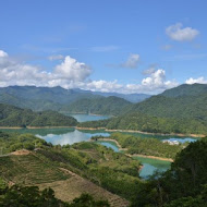 八卦茶園