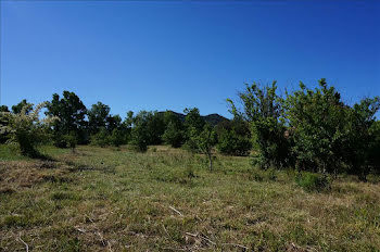 maison neuve à Arveyres (33)