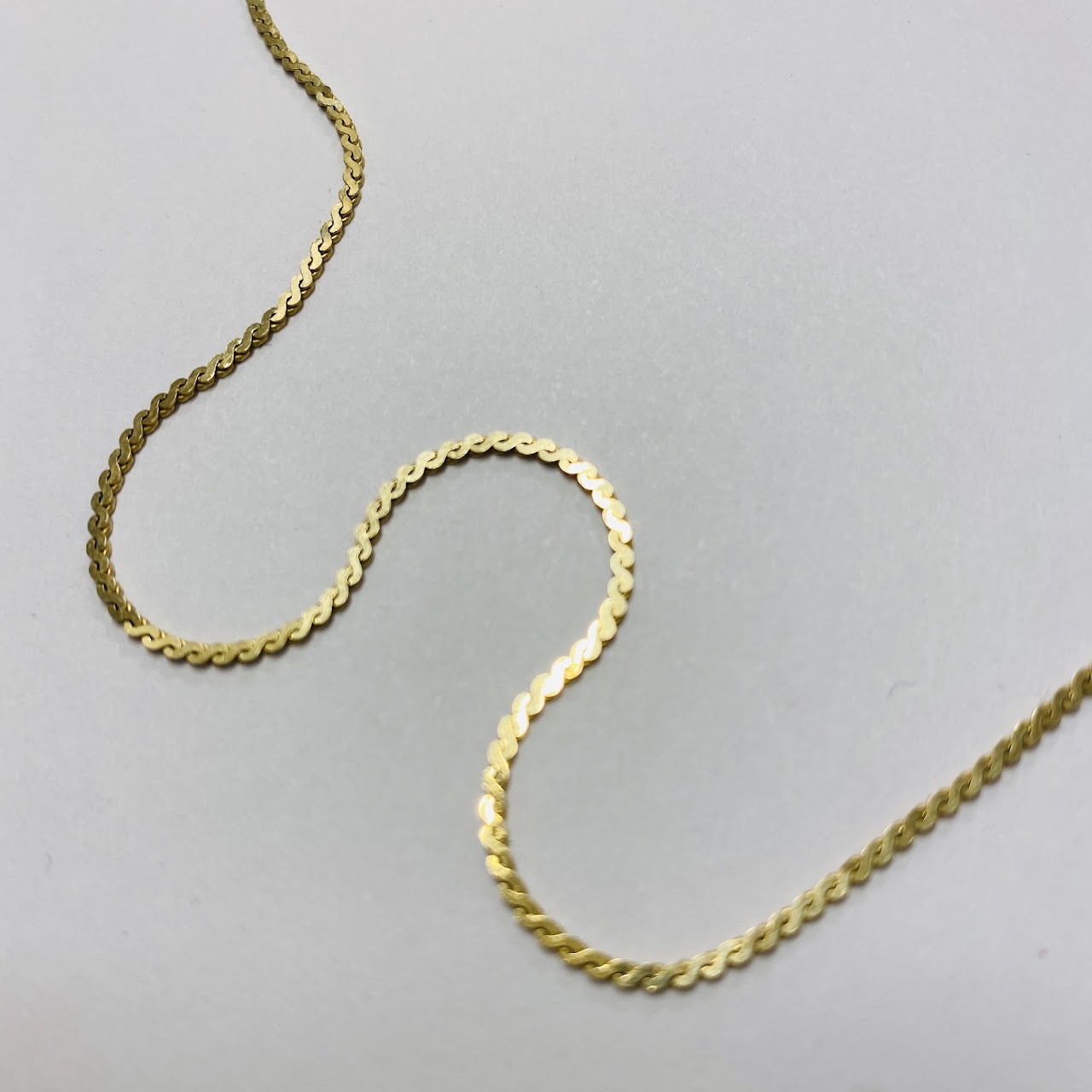 14K Gold Flat Chain Necklace