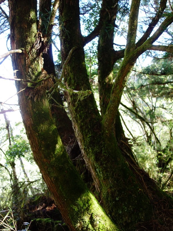 2013_0907-0908 遭遇困難‧遭難山_104