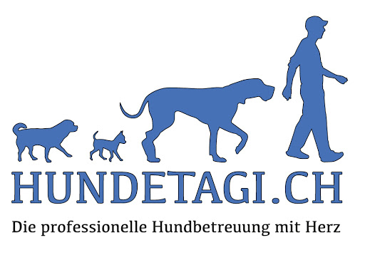 Hundetagi - Hundebetreuung in der Stadt Zürich logo