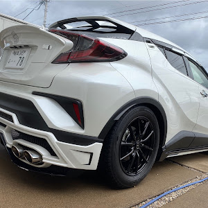 C-HR ZYX10