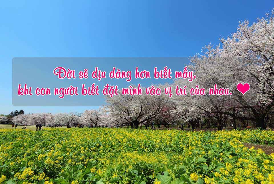 Hình ảnh: Thong diep hay ve tinh yeu va cuoc song 17