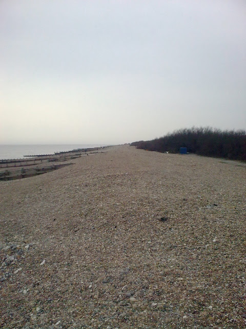 Image0301 Shingle beach near Sea View Cafe, Goring