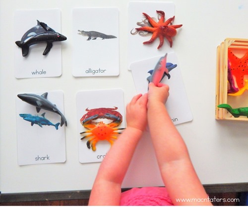 Montessori Ocean Animal Picture Matching Activity