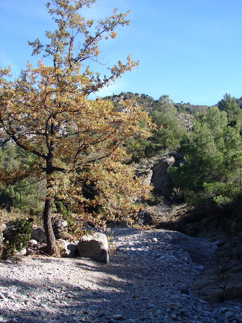 senderismo Nacieminto del río Lucena