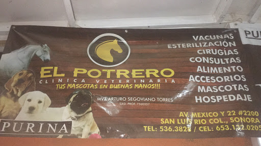 Veterinaria El Potrero, 83489, Calle 22 2108, Federal, San Luis Río Colorado, Son., México, Cuidado de mascotas | SON