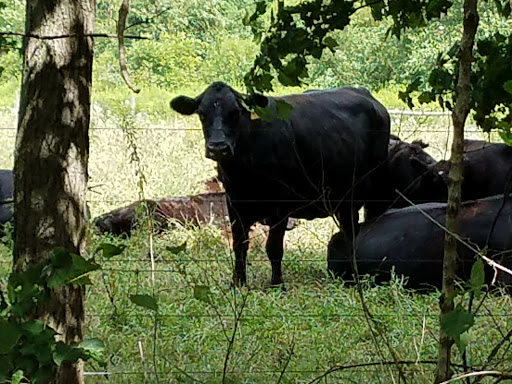 Nature Preserve «Lebanon Valley Rails To Trails, Lawn Trailhead», reviews and photos, Lebanon Valley Rail-Trail, Palmyra, PA 17078, USA