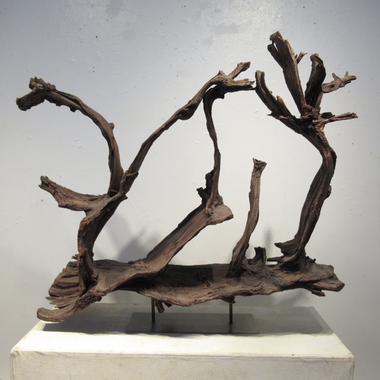 Large-Scale Driftwood Assemblage