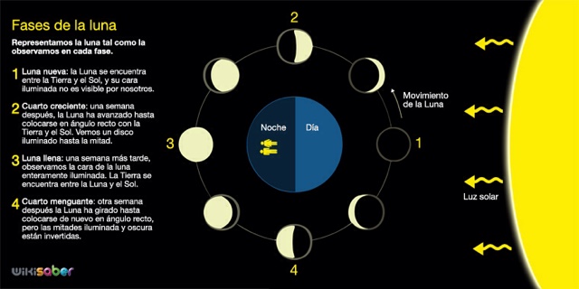 Historia Y Naturaleza Viva Fases De La Luna