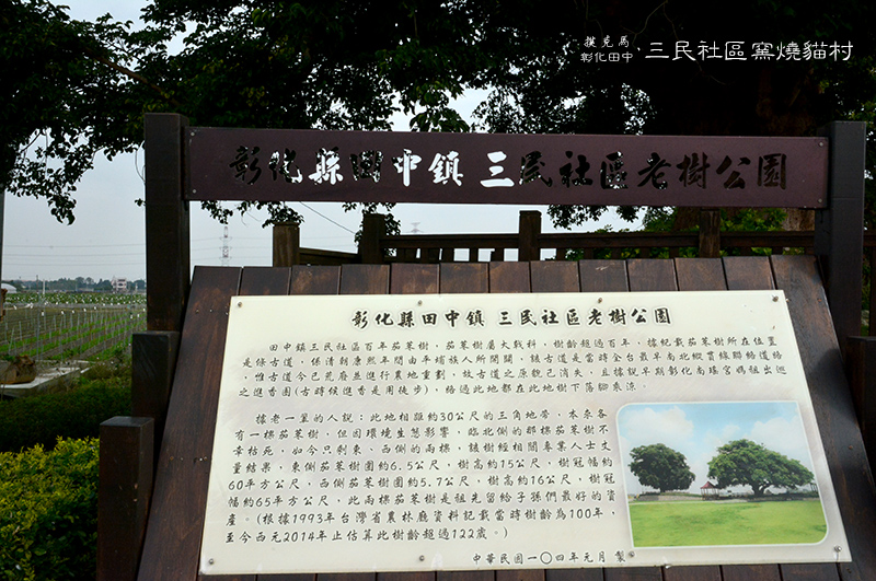 老樹公園