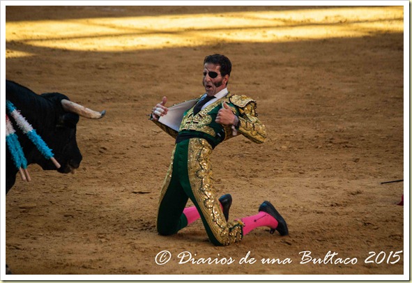 Toros Feria 2015-9899