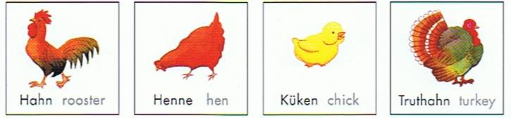 Restaur Accion Vocabulario Alemán Inglés Aves