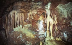 1992.05.04-101.26 grotte de Saint-Cézaire