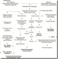 Asuhan Keperawatan Pada Penderita ILEUS (Obstruksi usus)