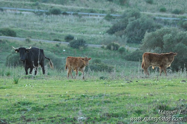 Finca Murta