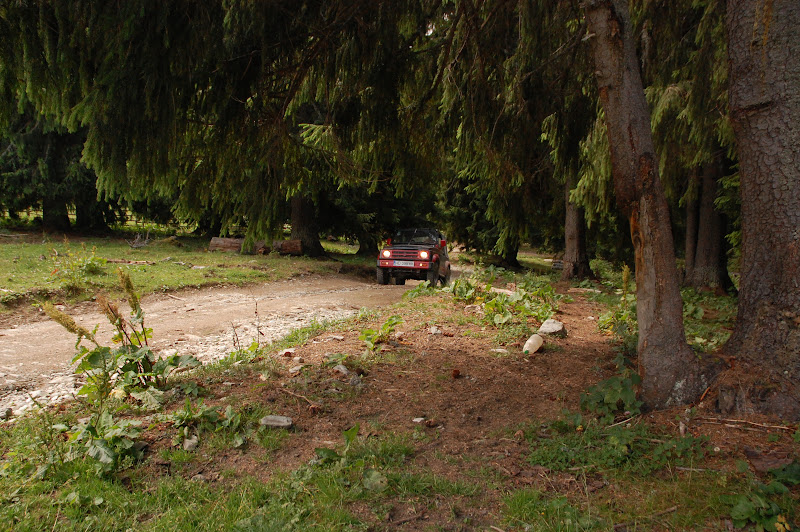 DSC_0444.JPG