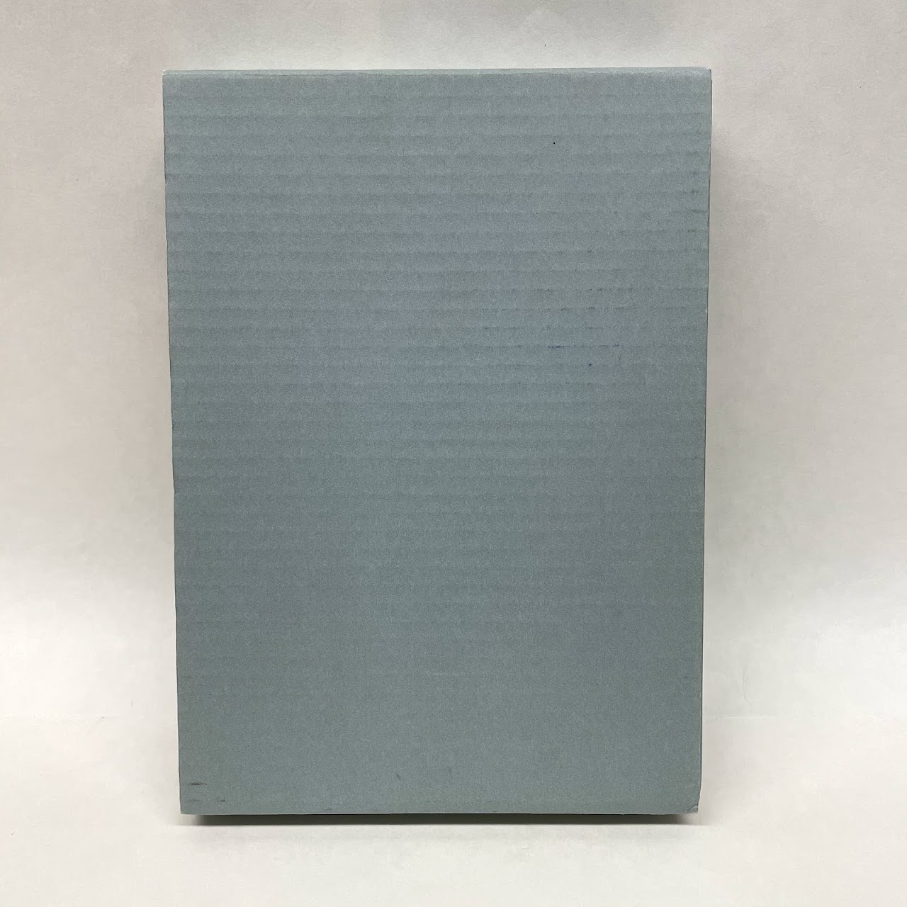 SIGNED and RARE 'Scream at the Librarian' Joel Rane, Raymond Pettibon, and Cristin Sheehan Sullivan Book