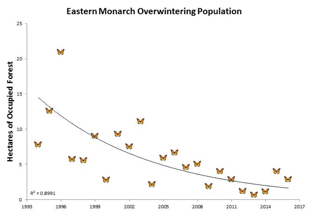 Eastern monarch butterfly overwintering population, 1993-2017. Graphic: Center for Biological Diversity