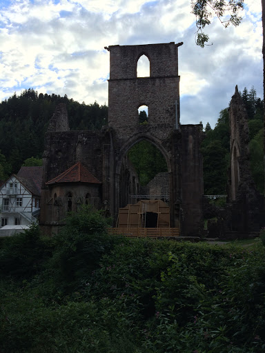 Lunes 27 julio. Pueblos de Alsacia y Selva Negra - Baviera, un paraíso cercano (18)