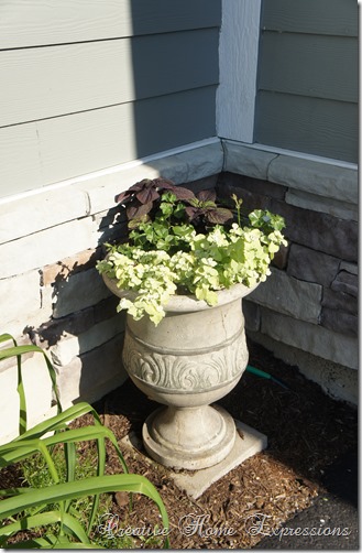 My Garden Urn In August